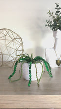 Load and play video in Gallery viewer, Beaded Plant Workshop
