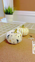 Load and play video in Gallery viewer, Mini Pumpkin Decorating Workshop
